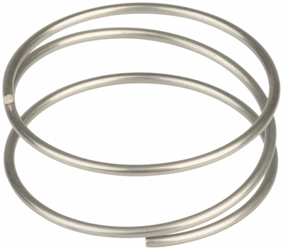 DT Swiss DT Swiss Driver Spring - Ratchet EXP