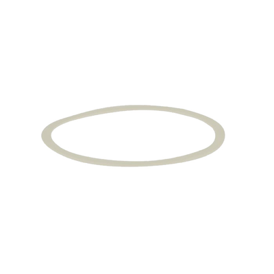 Stan's No Tubes Pawl Retainer M-Pulse
